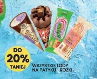 Wafelek WSZYSTKIE LODY NA PATYKU I ROŻKI oferta