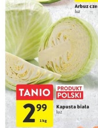 Intermarche Kapusta biała 1kg oferta