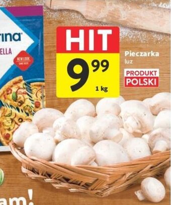 Intermarche Pieczarka luz 1kg oferta