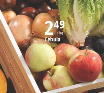 E.Leclerc Cebula 1 kg oferta
