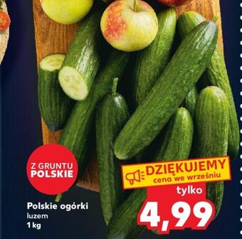 Kaufland Polskie ogórki 1 kg oferta