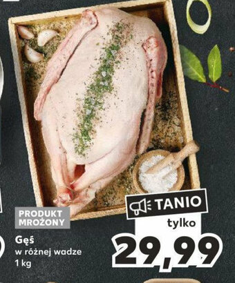 Kaufland Gęś 1 kg oferta