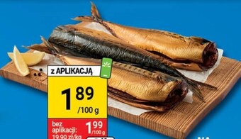 Stokrotka Optima Makrela wędzona oferta