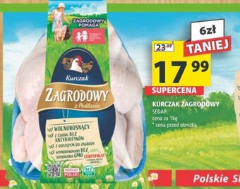 Arhelan Kurczak oferta