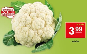 Gram Market Kalafior oferta