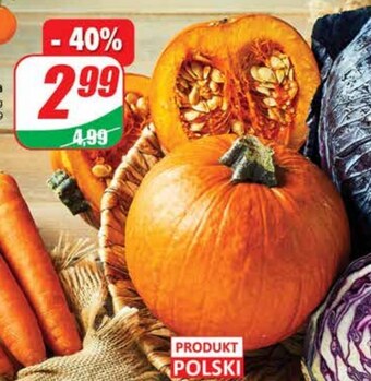 Dino Dynia oferta