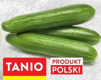 Intermarche Ogórek oferta