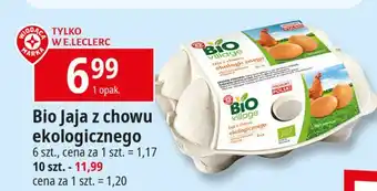 E.Leclerc Jaja ekologiczne oferta