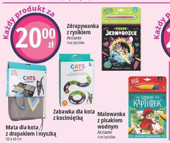 E.Leclerc Zabawka dla kota oferta