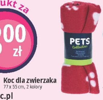 E.Leclerc Koc dla zwierzaka 77 x 55 cm oferta