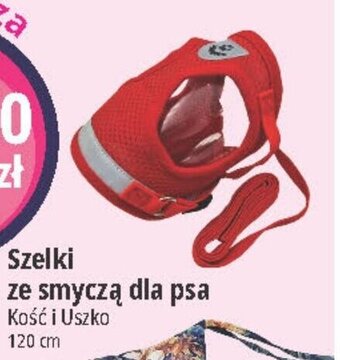 E.Leclerc Szelki ze smyczą dla psa Kość i Uszko 120 cm oferta