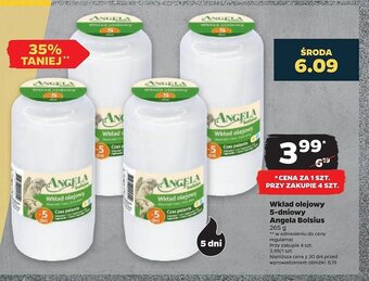 Netto Wkład olejowy 5d oferta