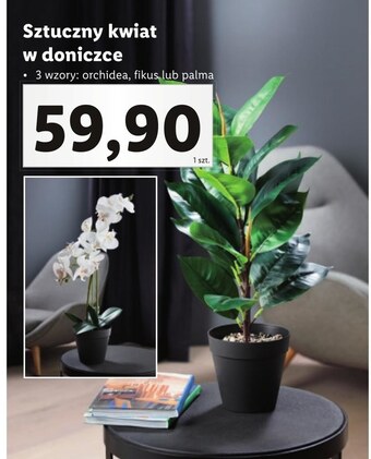 Lidl Kwiat sztuczny oferta