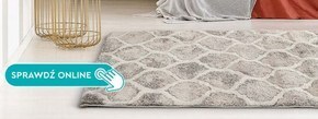 Biedronka Dywan oferta