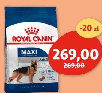 Maxi Zoo Karma dla psa royal canin oferta