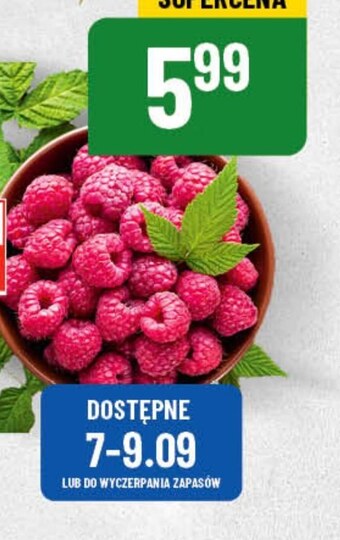 Polomarket Maliny oferta