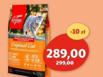 Maxi Zoo Karma dla kota orijen oferta