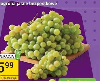 Stokrotka Market Winogrona oferta