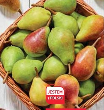 Stokrotka Gruszka oferta