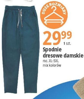 E.Leclerc Spodnie dresowe damskie oferta