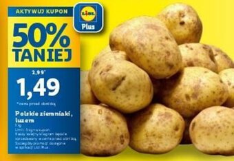 Lidl Polskie ziemniaki luzem 1 kg oferta