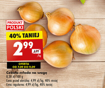 Biedronka Cebula młoda na wagę 1kg oferta
