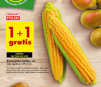 Biedronka Kukurydza kolba 1szt oferta