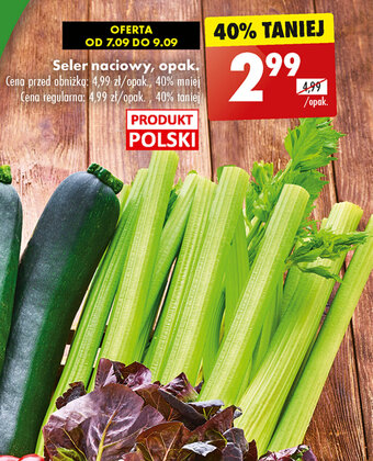 Biedronka Seler naciowy, opak. oferta