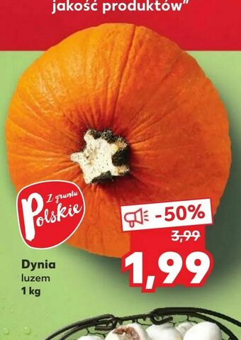 Kaufland Dynia oferta