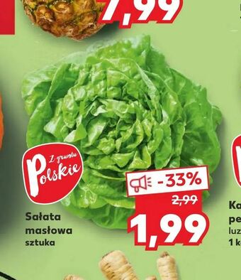 Kaufland Sałata masłowa oferta