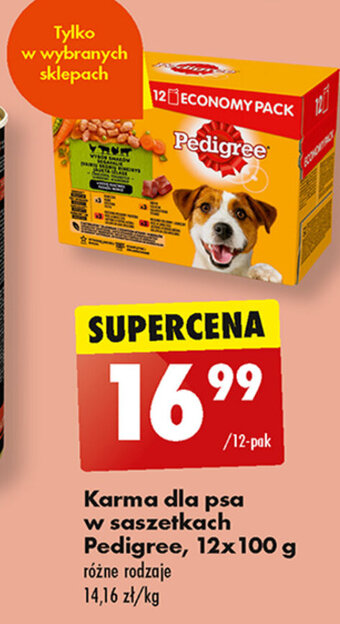 Biedronka Karma dla psa w saszetkach Pedigree, 12x100 g oferta