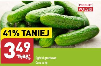 ALDI Ogórki gruntowe 1 kg oferta