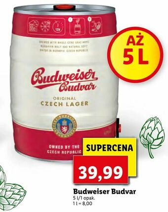 Lidl Budweiser Budvar oferta
