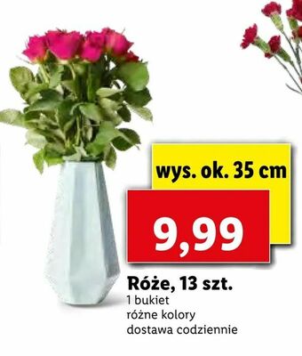 Lidl Róże, 13 szt oferta