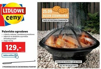 Lidl Palenisko ogrodowe oferta