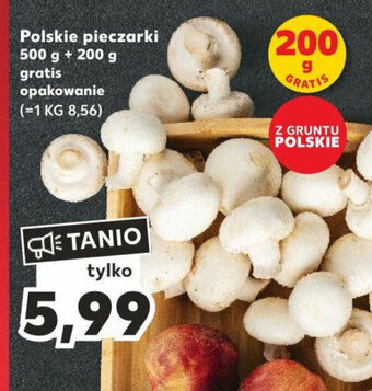 Kaufland Polskie pieczarki 500 g + 200 g gratis oferta