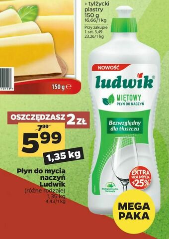 Netto Płyn do mycia naczyń Ludwik oferta