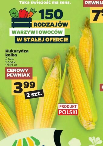 Netto Kukurydza kolba oferta