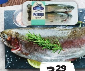 Netto Pstrąg tęczowy oferta