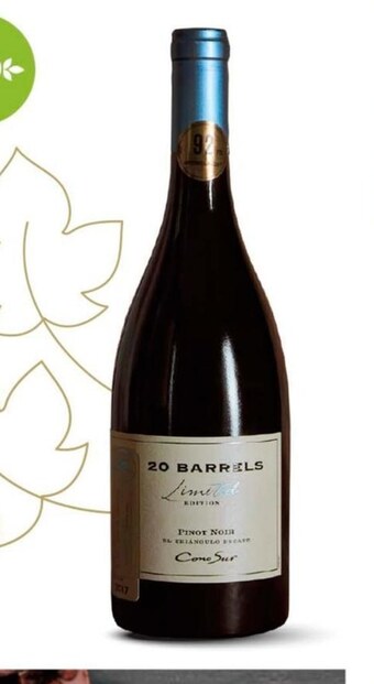 Carrefour Wino cono sur oferta