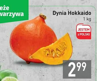 Dynia Hokkaido