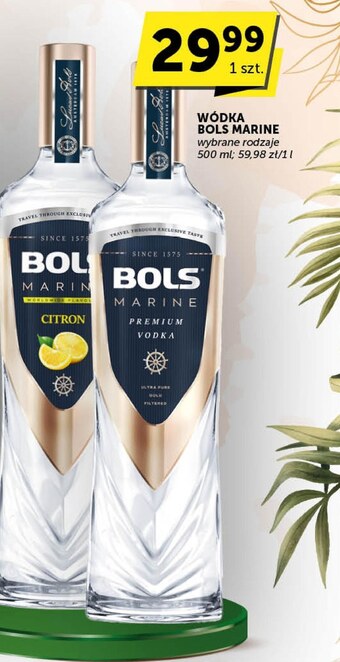 Groszek Wódka bols oferta