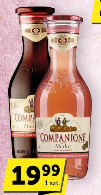 Groszek Wino companione oferta