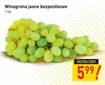 Stokrotka Winogrona jasne bezpestkowe oferta