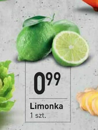 Stokrotka Limonka oferta