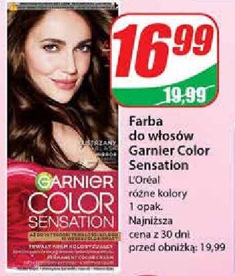 Dino Farba do włosów 4.0 oferta