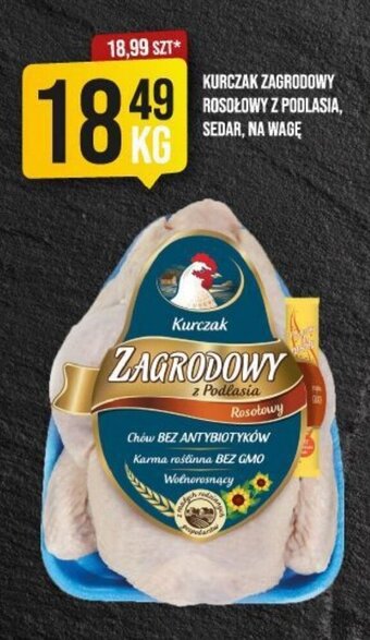 Market Jan KURCZAK ZAGRODOWY ROSOŁOWY Z PODLASIA, SEDAR, NA WAGĘ 1 KG oferta