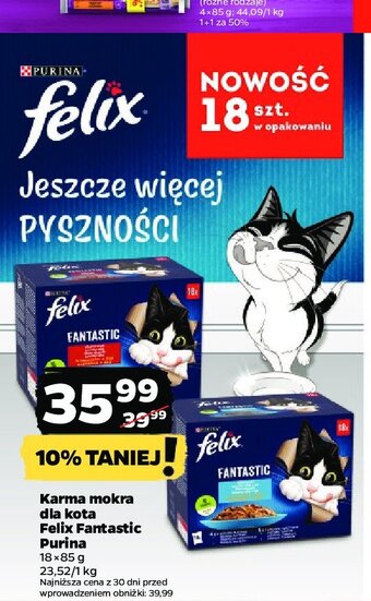 Netto Karma dla kota rybne smaki oferta