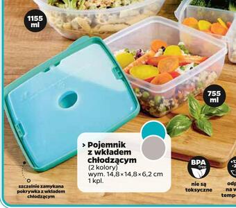 Pojemnik z wkładem chłodzącym