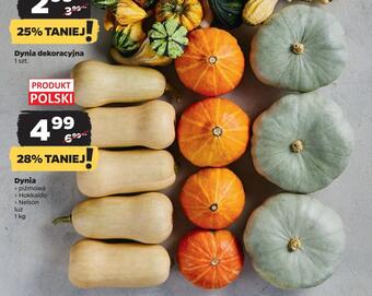 Netto Dynia oferta